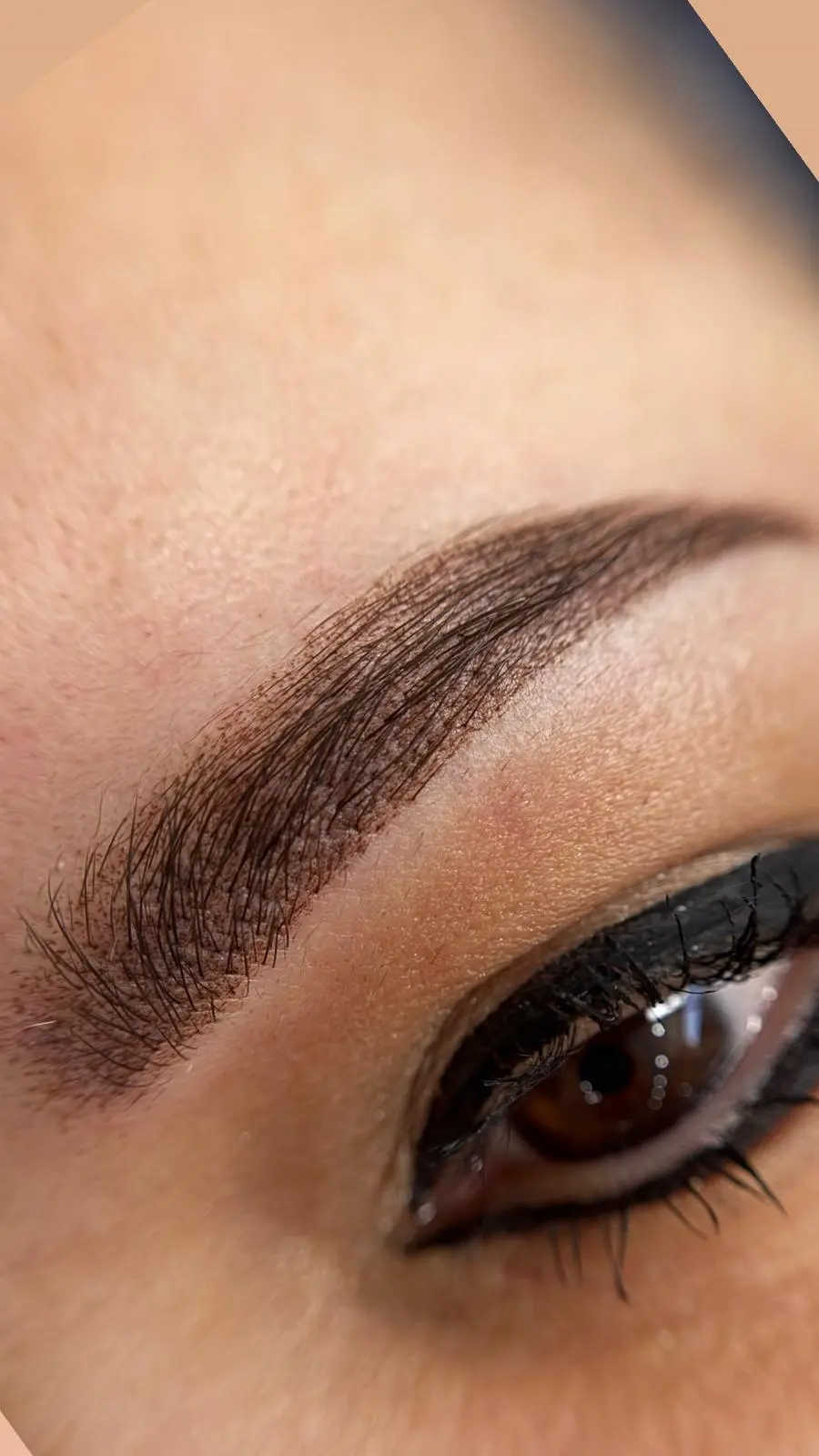 Micropigmentare Sprâncene - Înainte și După 1