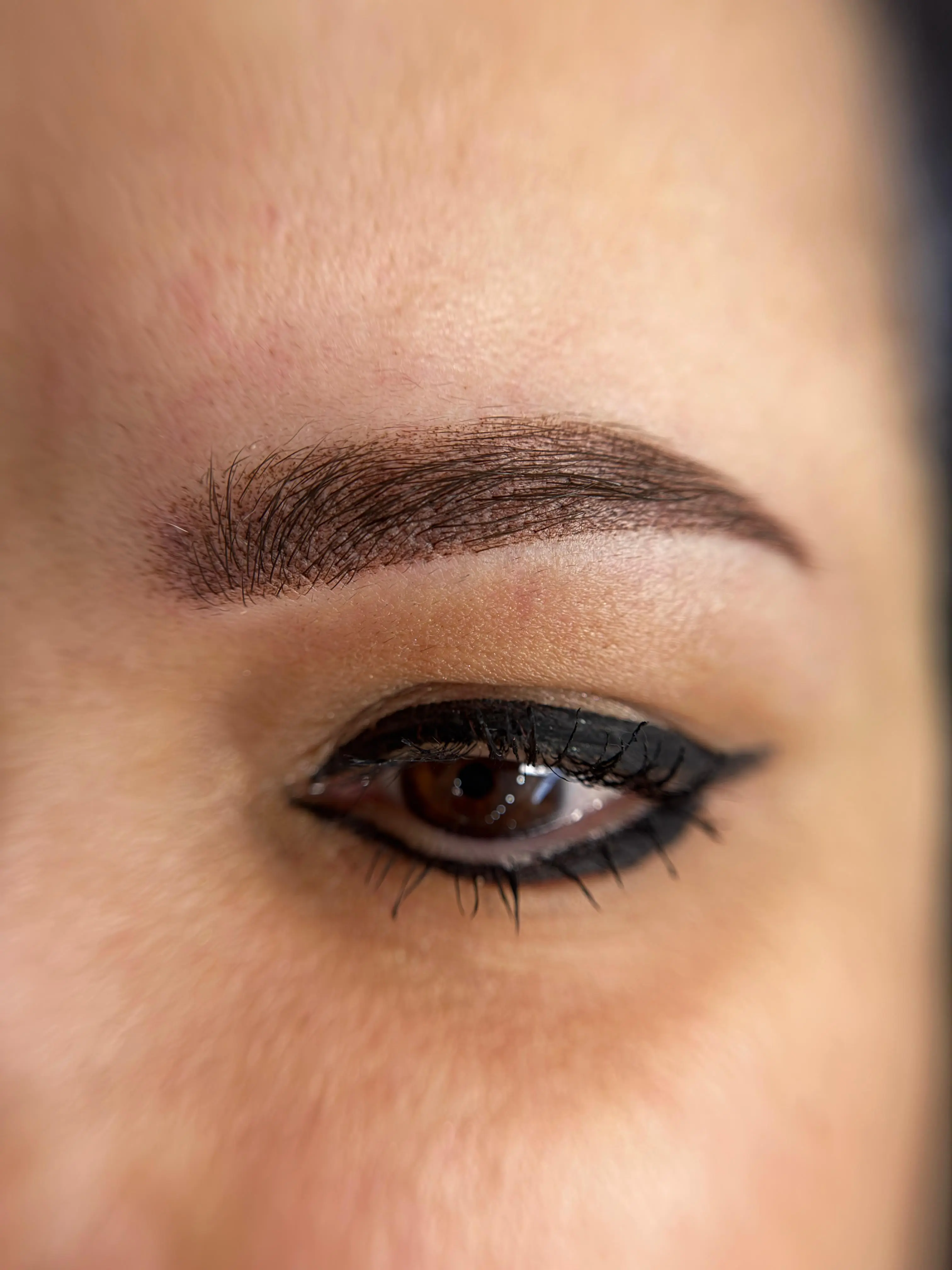 Micropigmentare Sprâncene - Înainte și După 2