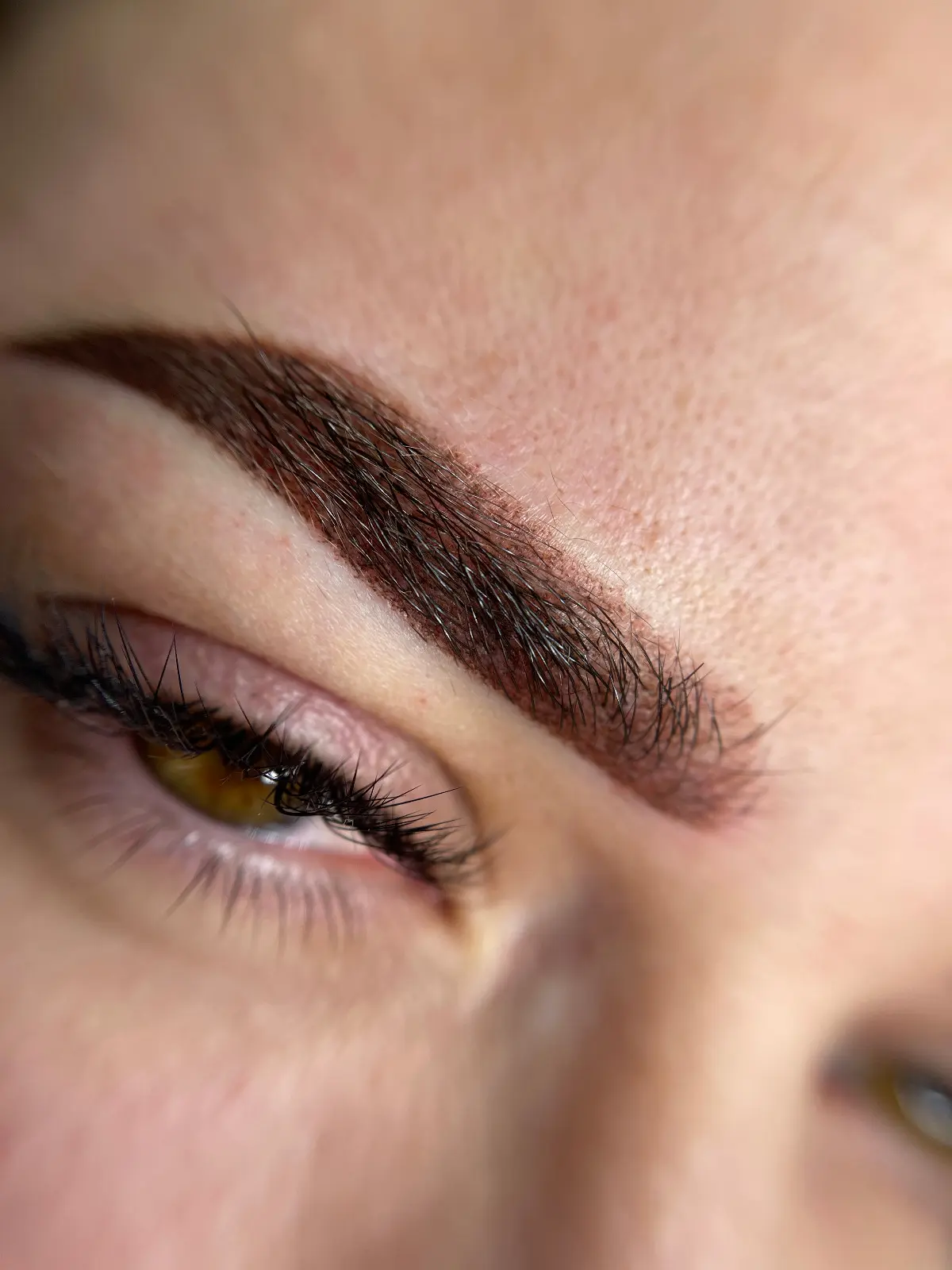 Micropigmentare Sprâncene - Înainte și După 3