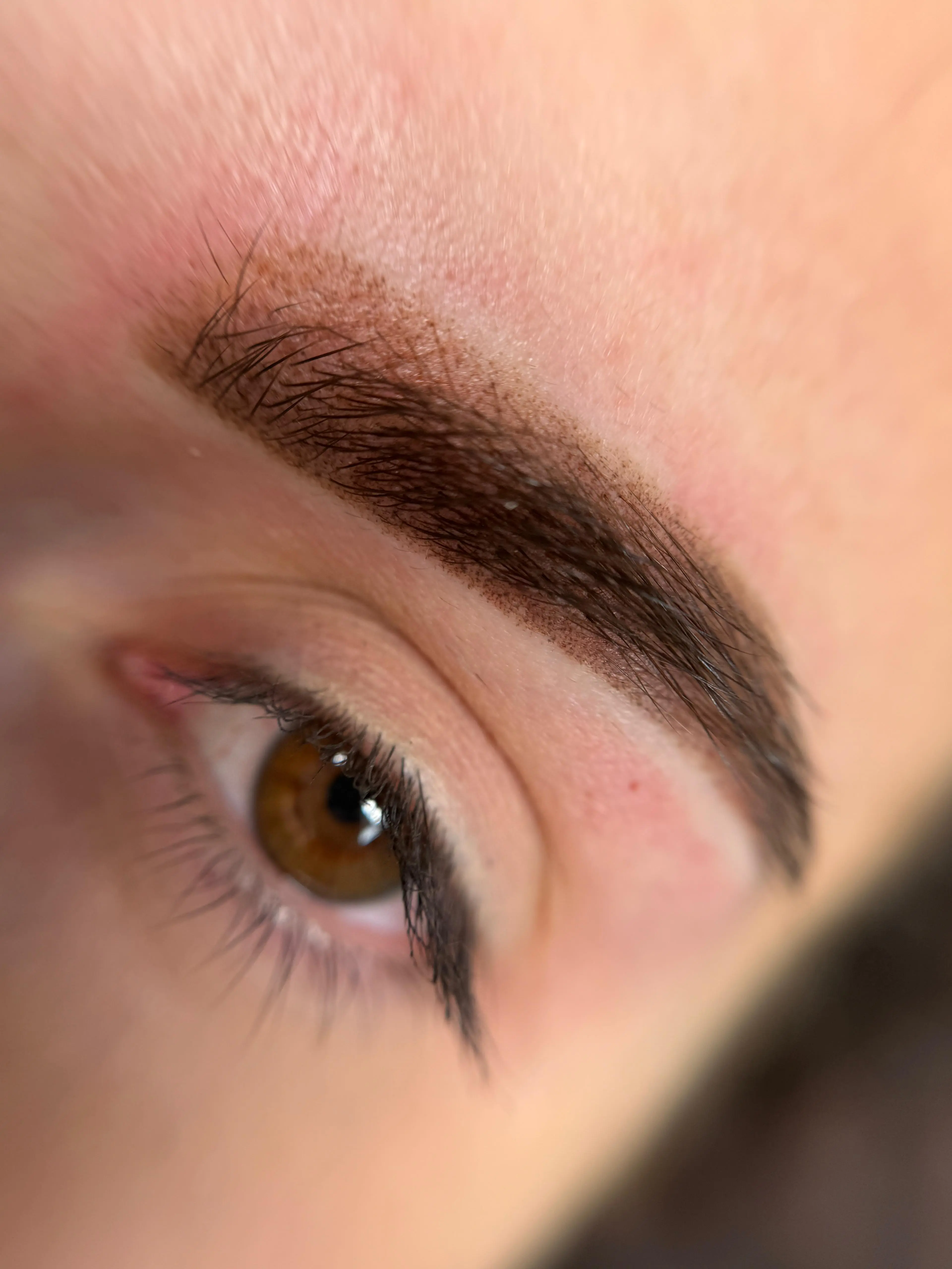 Micropigmentare Sprâncene - Înainte și După 4