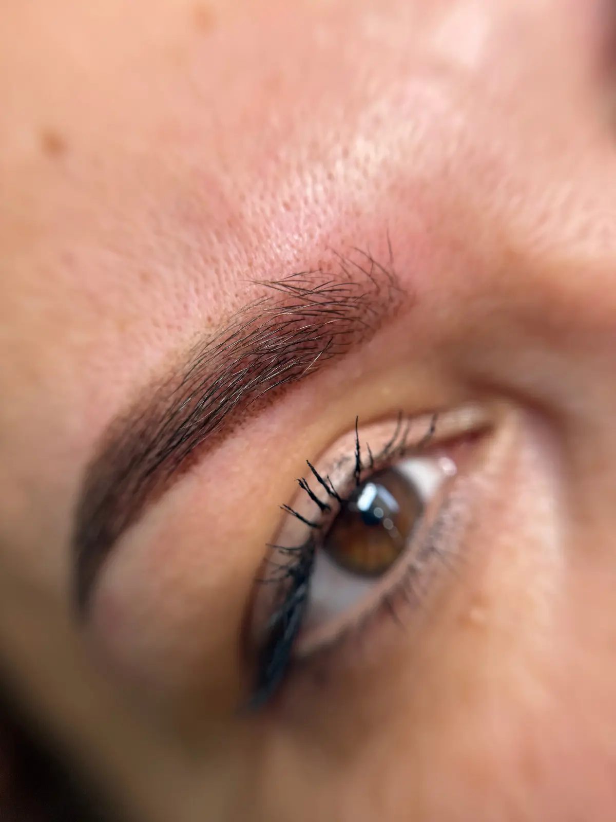 Micropigmentare Sprâncene - Înainte și După 7