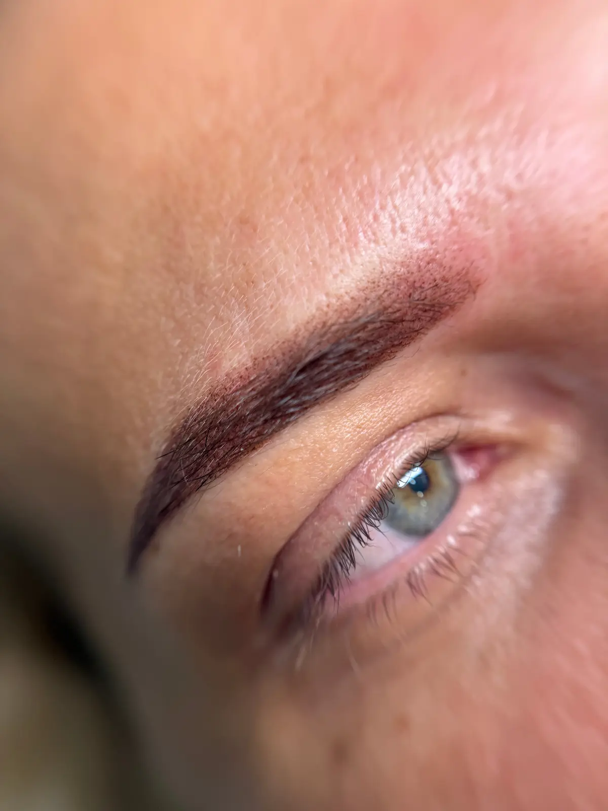 Micropigmentare Sprâncene - Înainte și După 8