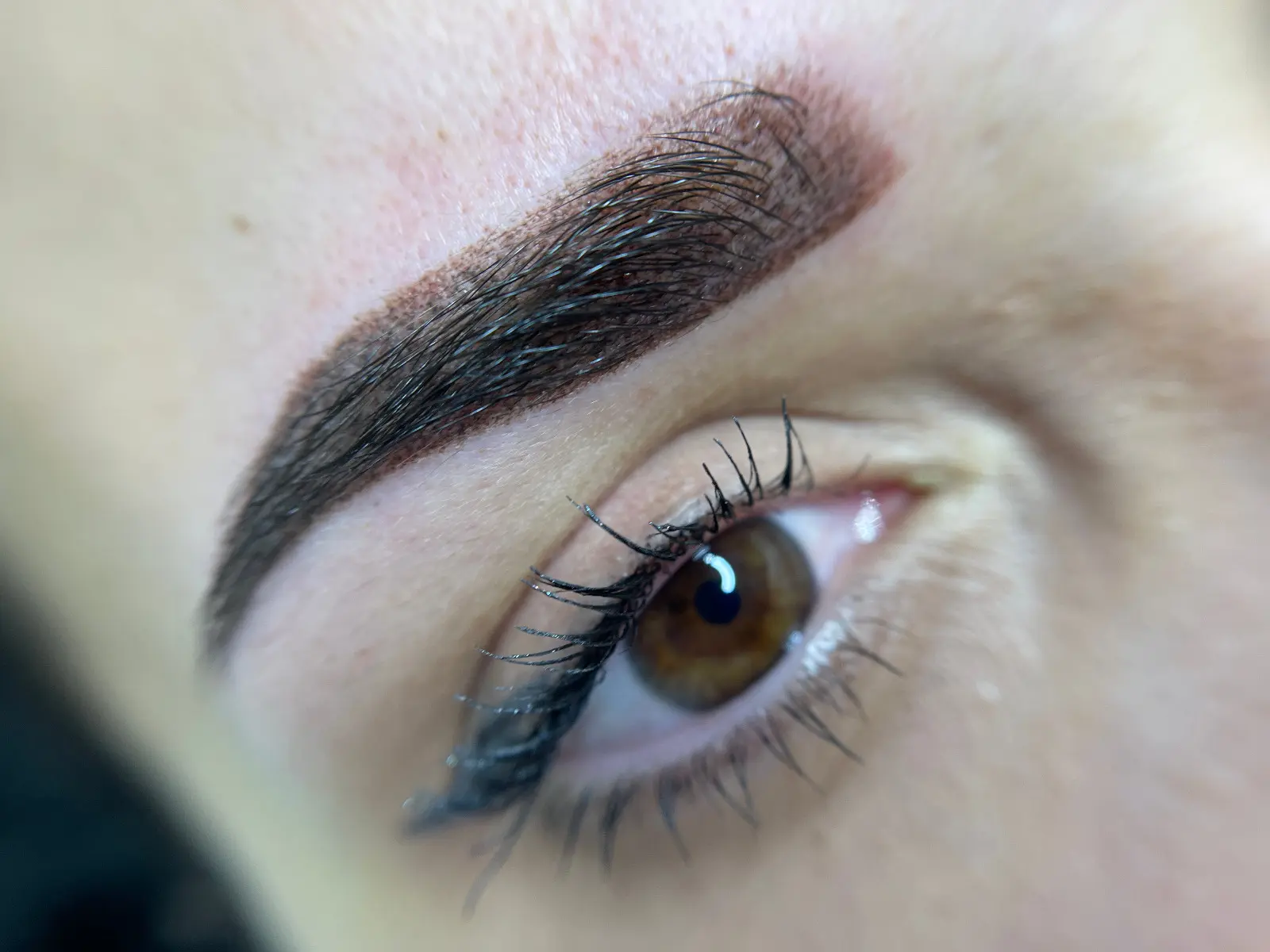 Micropigmentare Sprâncene - Înainte și După 9