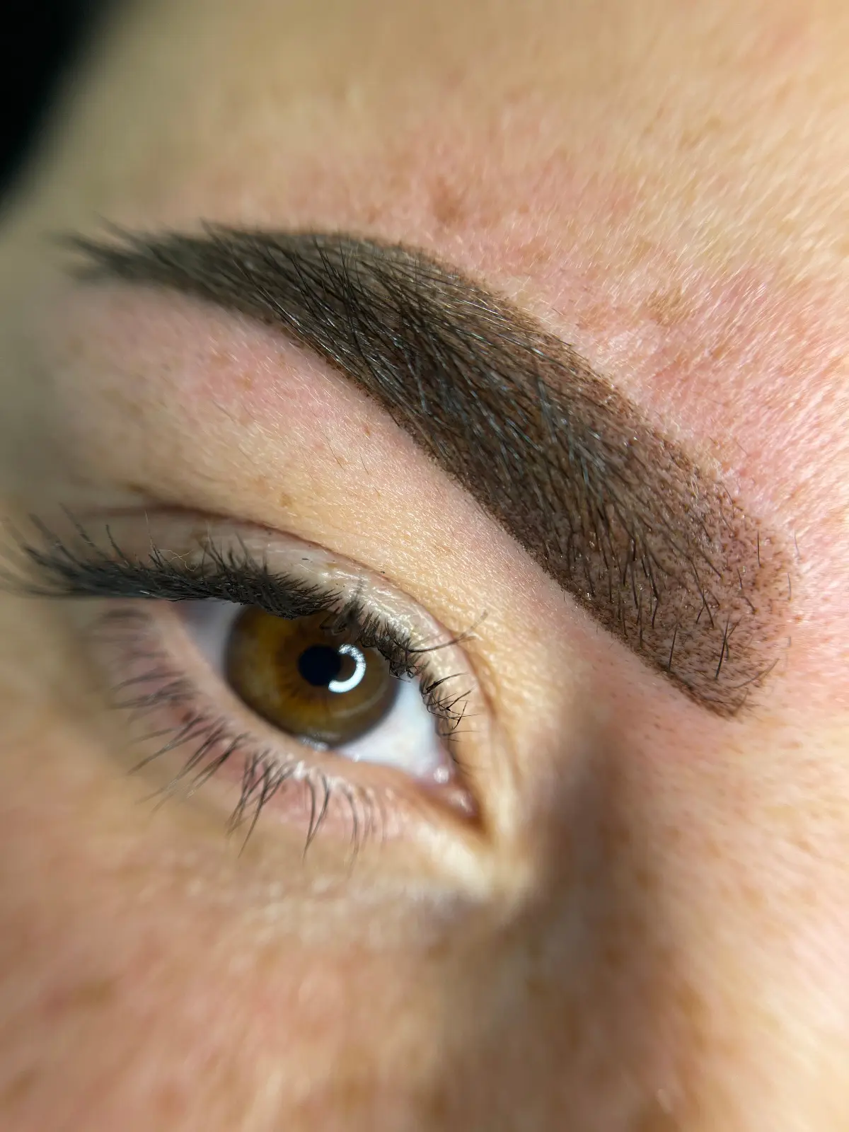 Micropigmentare Sprâncene - Înainte și După 12